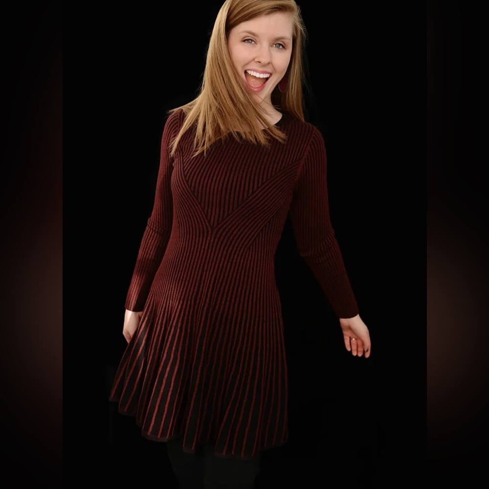 Express sweater skater dress